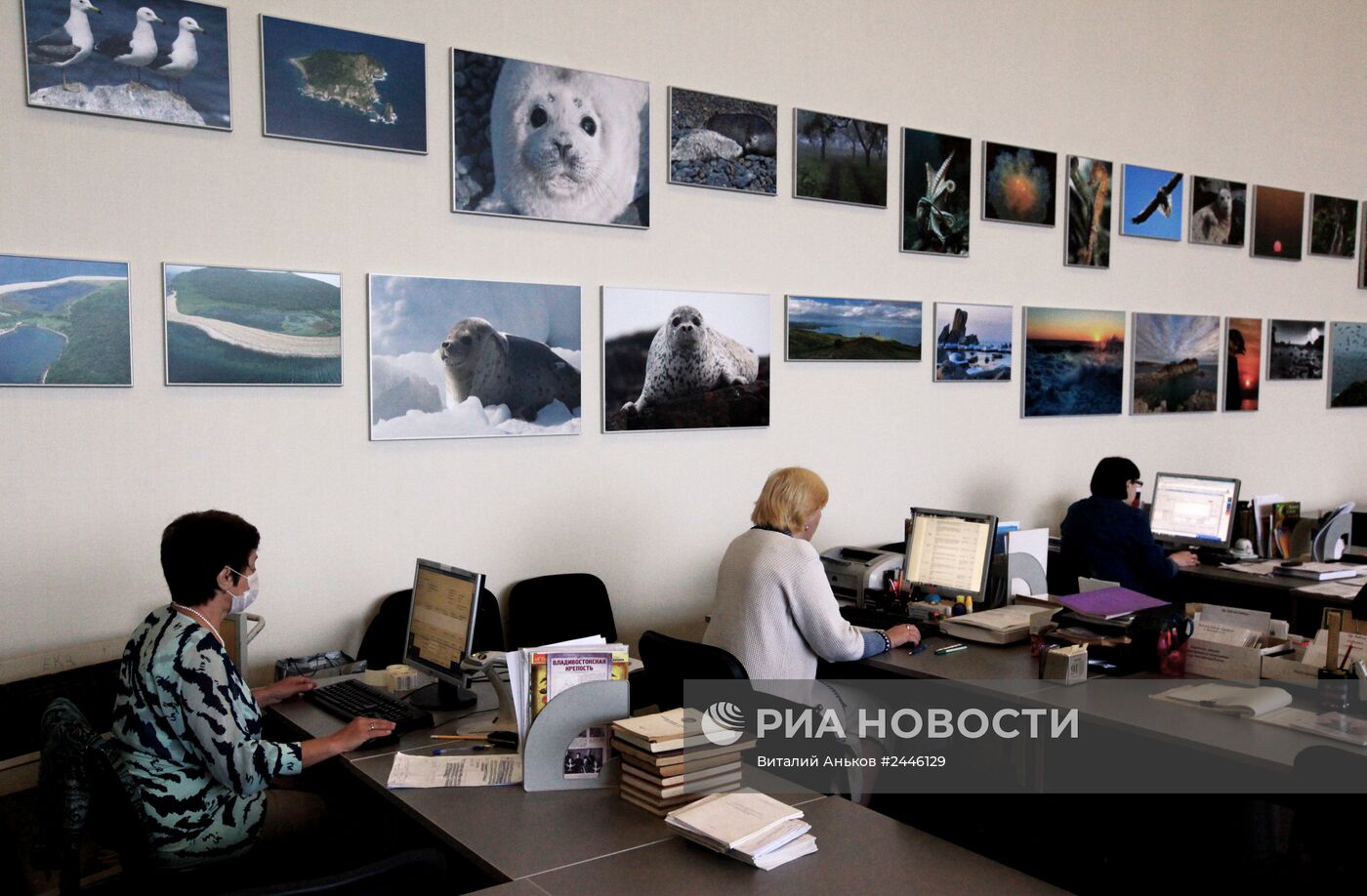 Подготовка библиотеки ДВФУ к новому учебному году