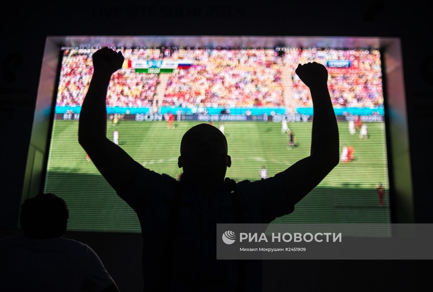 Трансляция матча ЧМ-2014 по футболу Бельгия - Россия