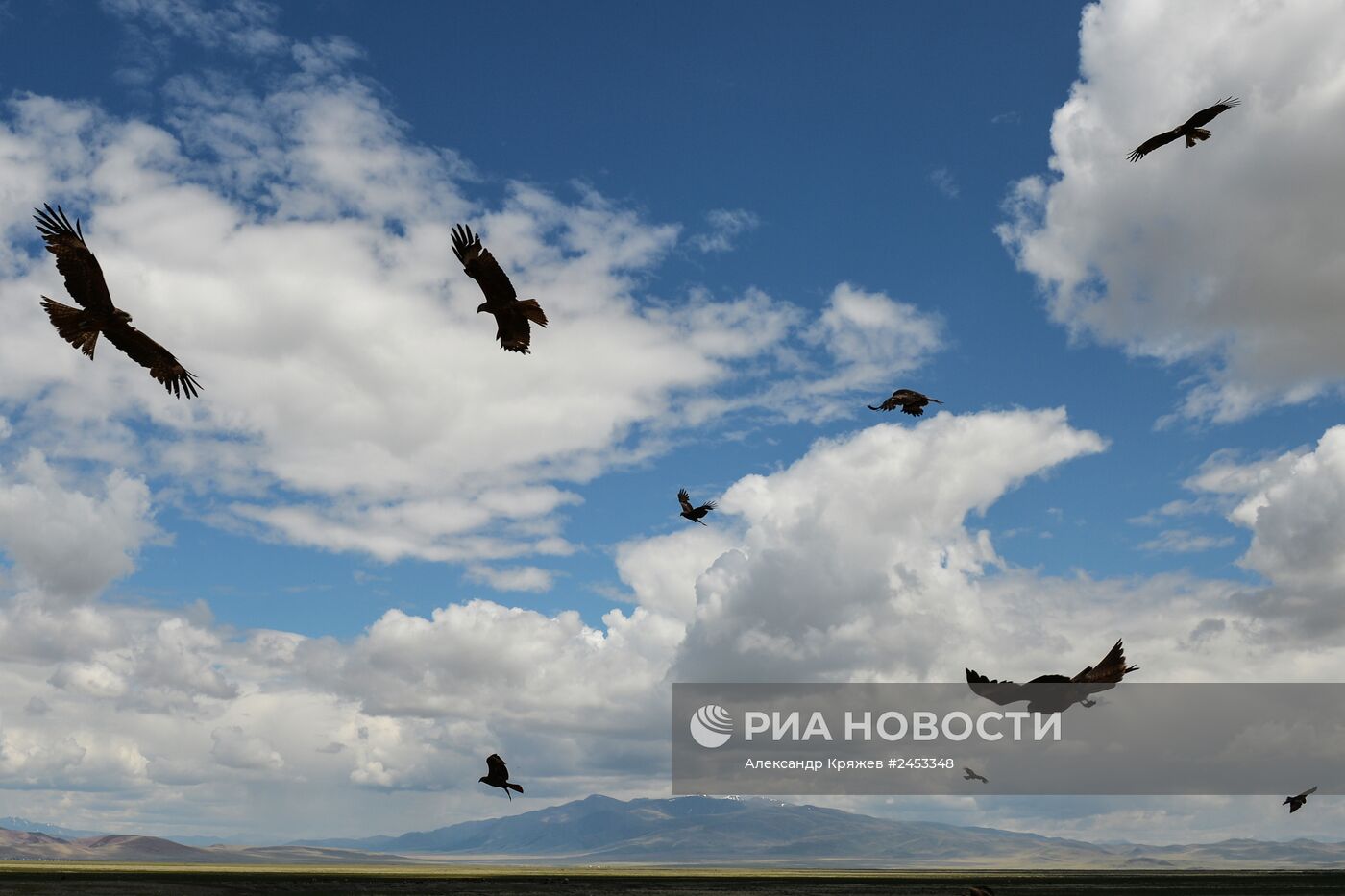 Жизнь чабанов в Республике Алтай