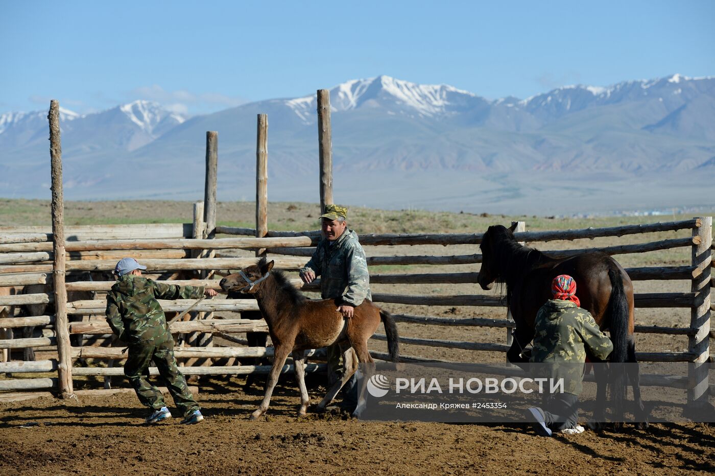 Жизнь чабанов в Республике Алтай