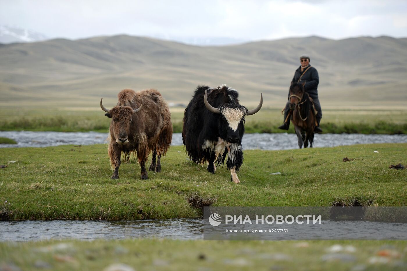 Жизнь чабанов в Республике Алтай
