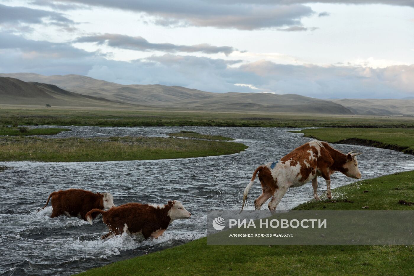 Жизнь чабанов в Республике Алтай