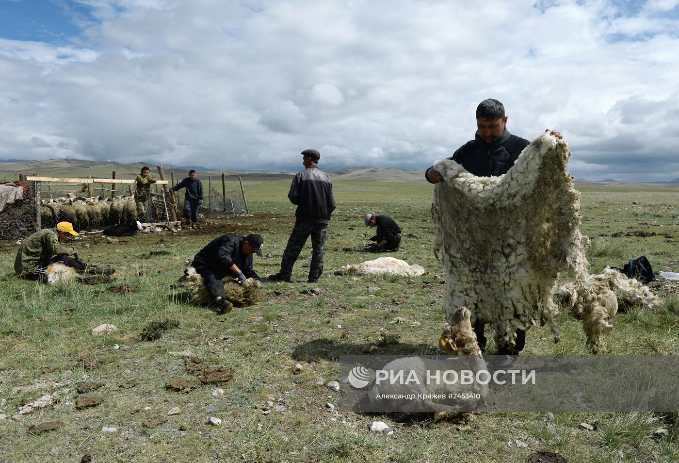 Жизнь чабанов в Республике Алтай