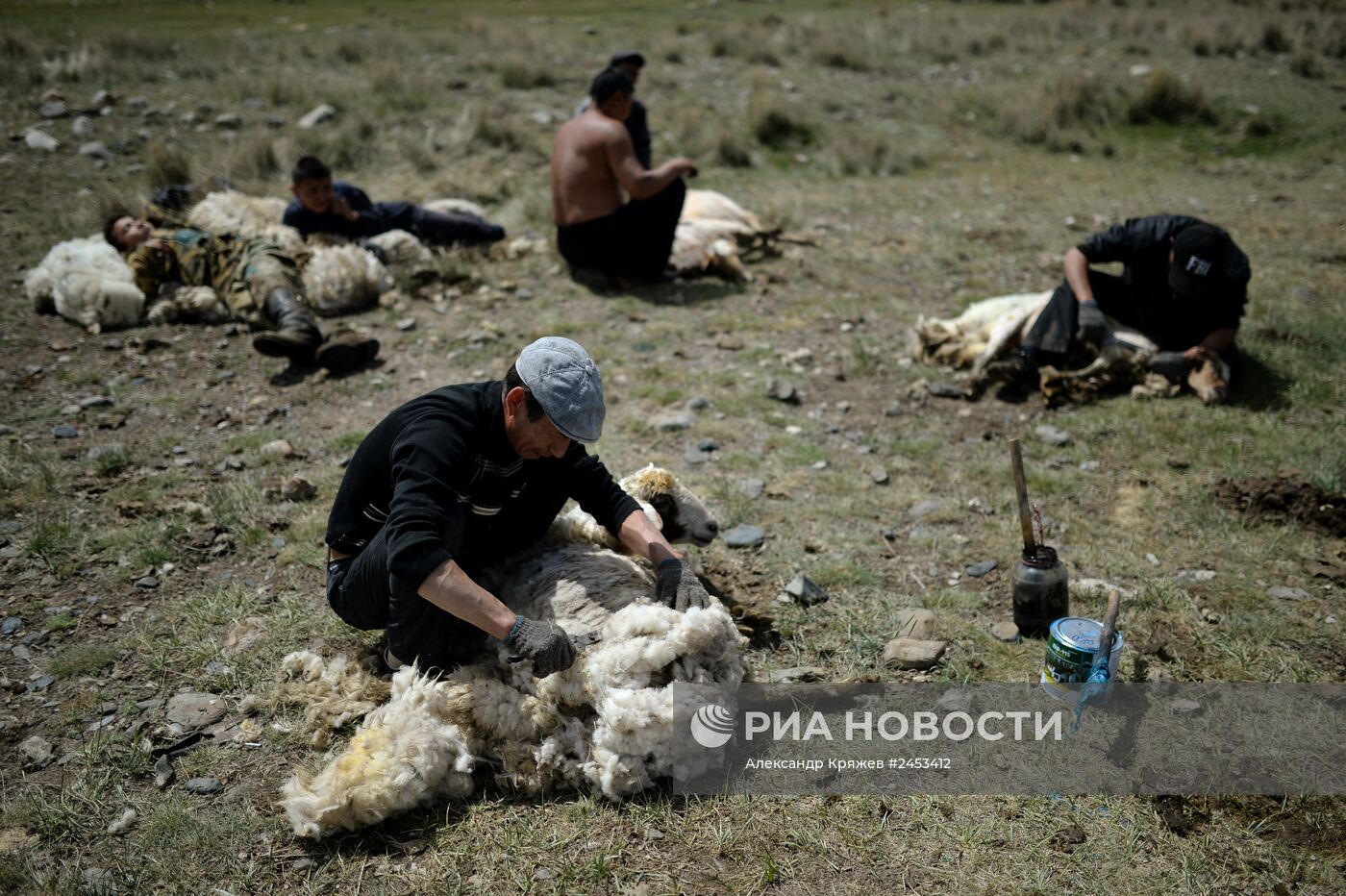 Жизнь чабанов в Республике Алтай