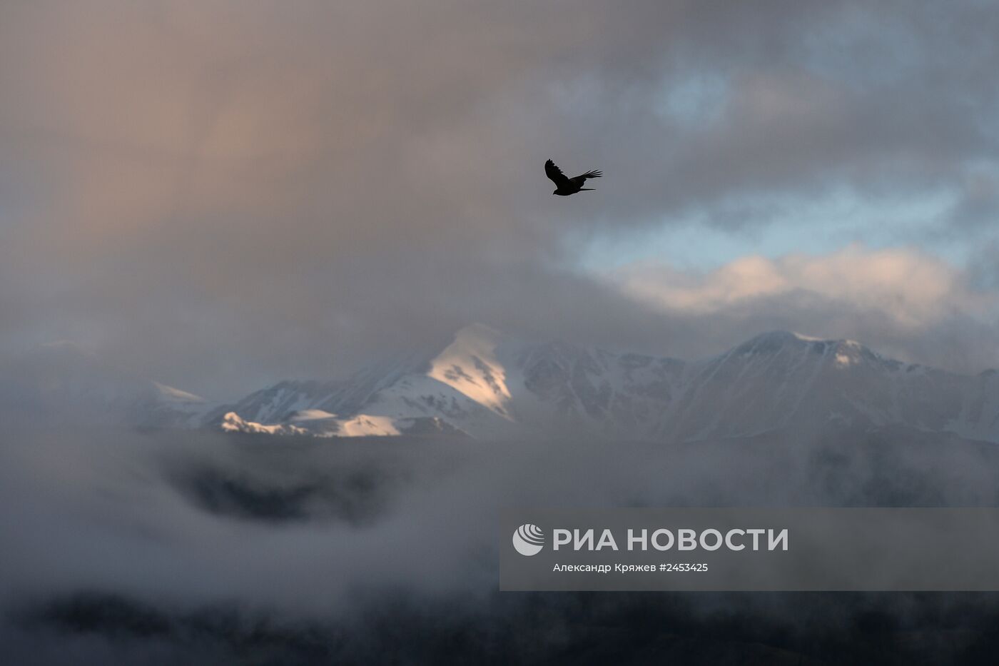 Жизнь чабанов в Республике Алтай