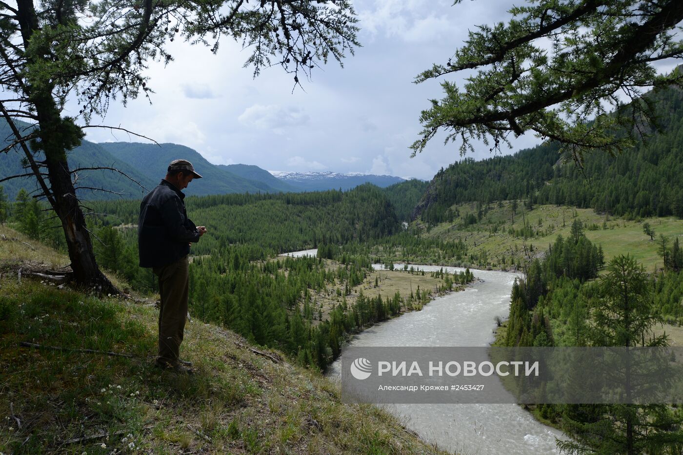 Жизнь чабанов в Республике Алтай