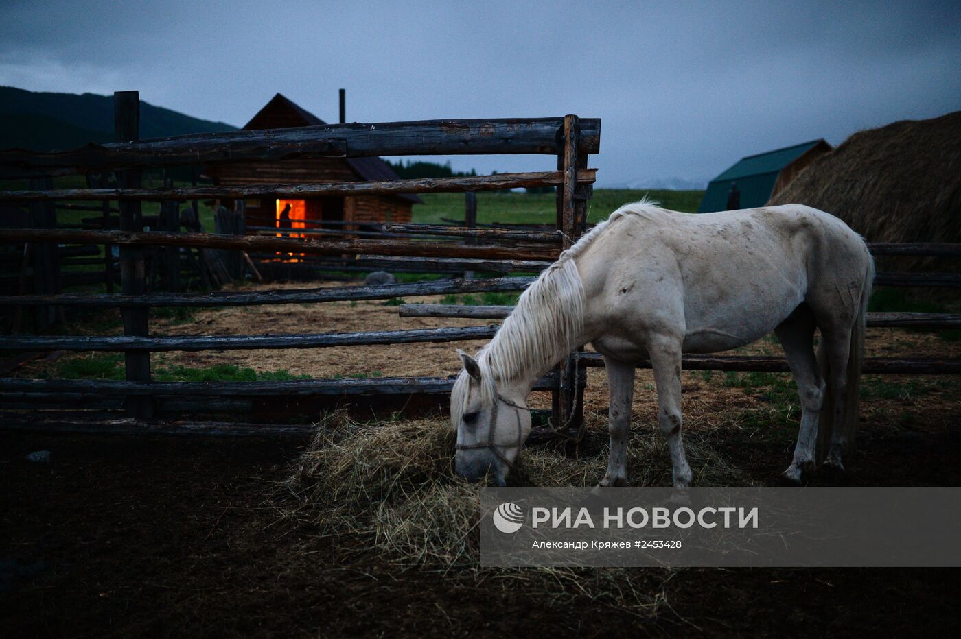 Жизнь чабанов в Республике Алтай