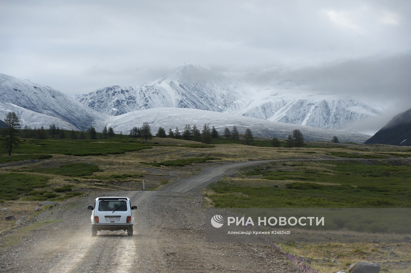 Жизнь чабанов в Республике Алтай