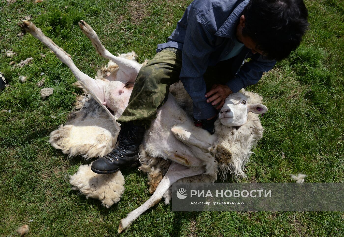 Жизнь чабанов в Республике Алтай