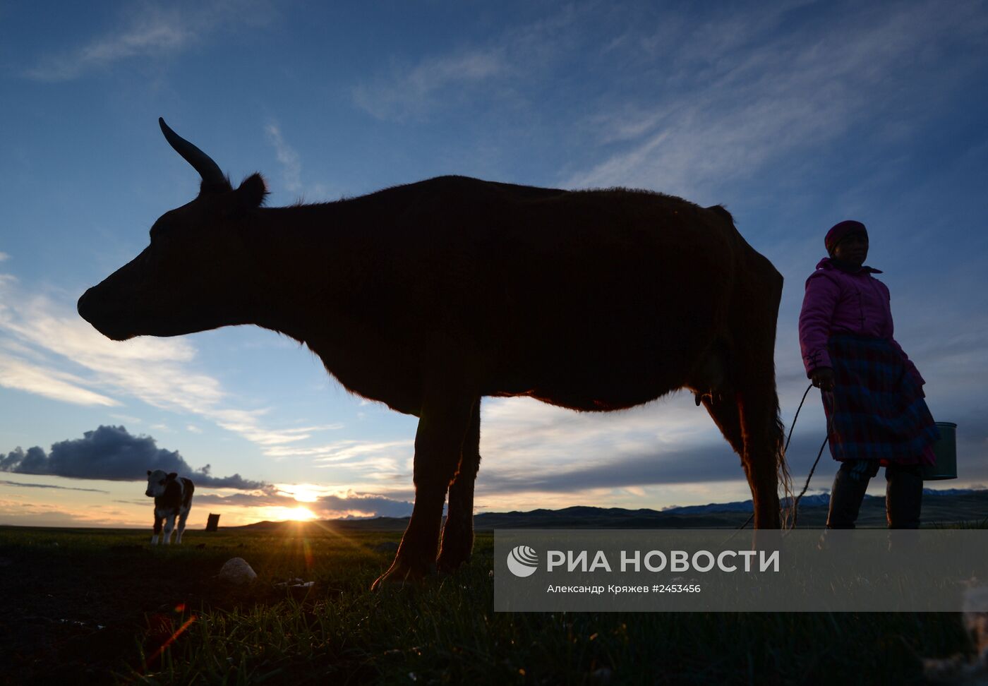 Жизнь чабанов в Республике Алтай