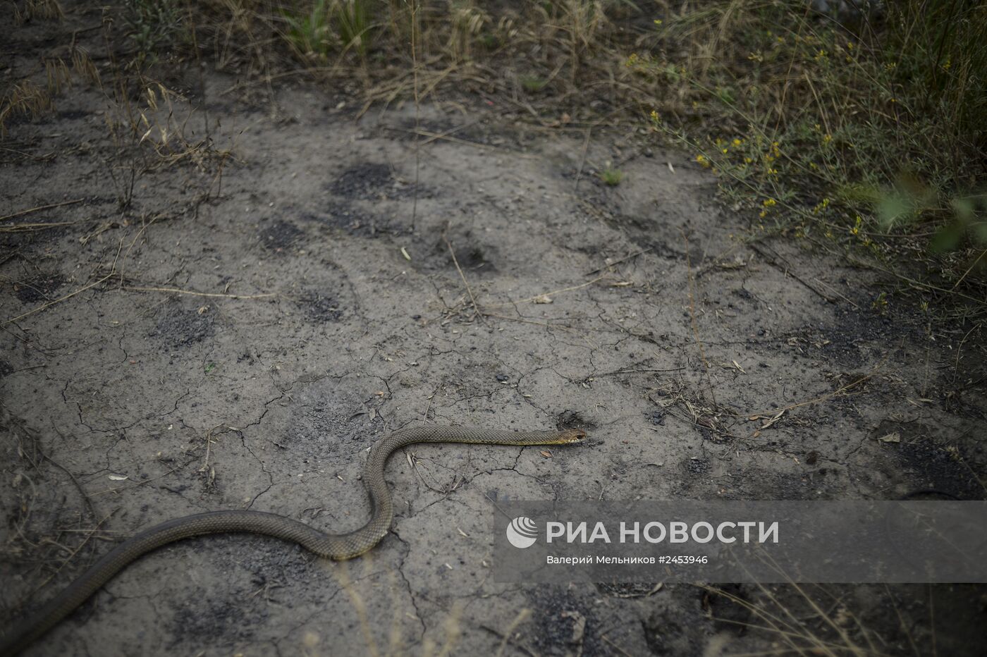 Жизнь в приграничной полосе