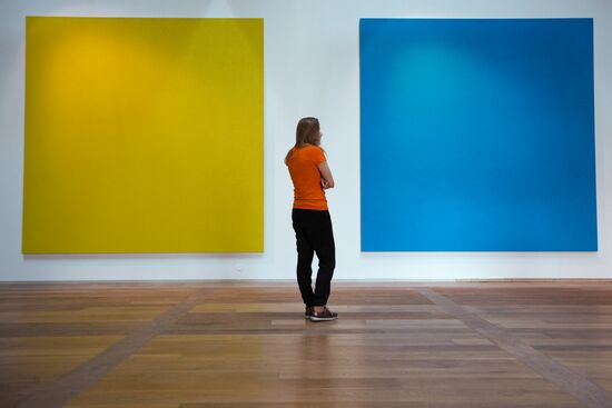 Арт-биеннале Manifesta в Санкт-Петербурге