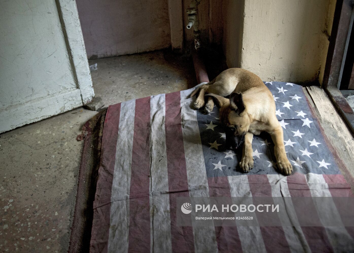 Группа быстрого реагирования народного ополчения в Луганске