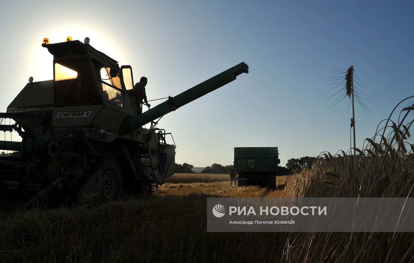 Уборка зерновых в Ростовской области
