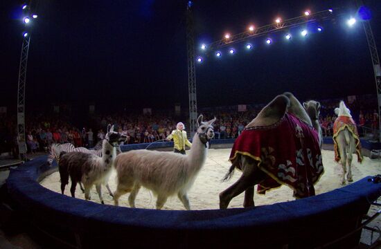 "Цирк огромных зверей" в Севастополе