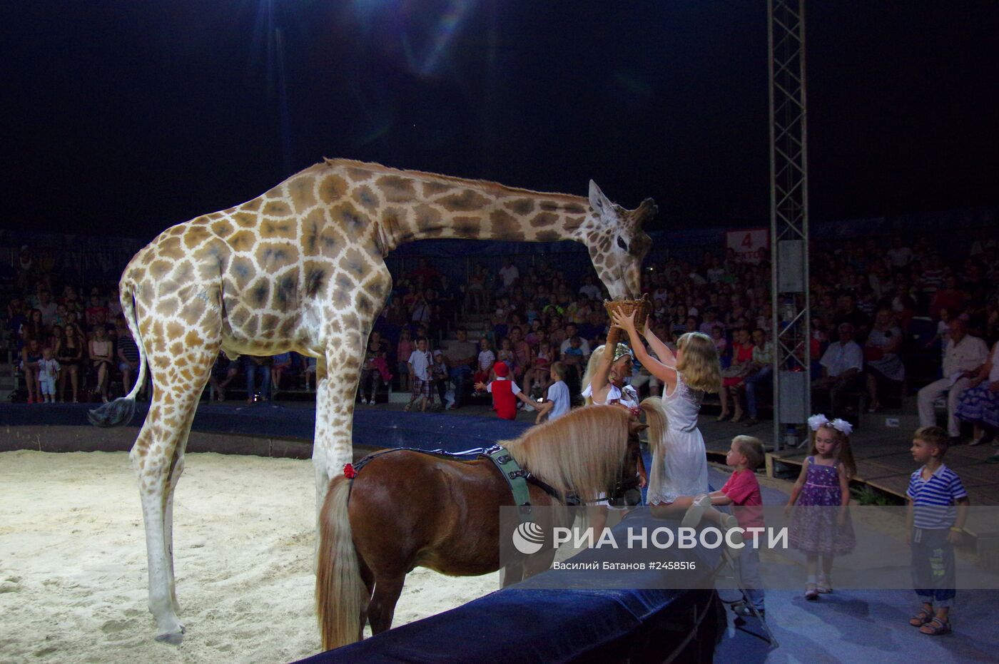 "Цирк огромных зверей" в Севастополе