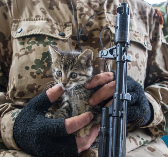 Ситуация в Донецке