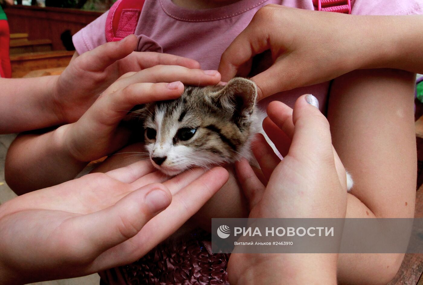 Контактный зоопарк во Владивостоке