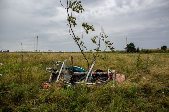 Поисковые работы на месте крушения малайзийского лайнера Boeing 777 в районе Шахтерска