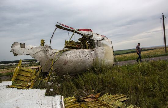 Поисковые работы на месте крушения малайзийского лайнера Boeing 777 в районе Шахтерска
