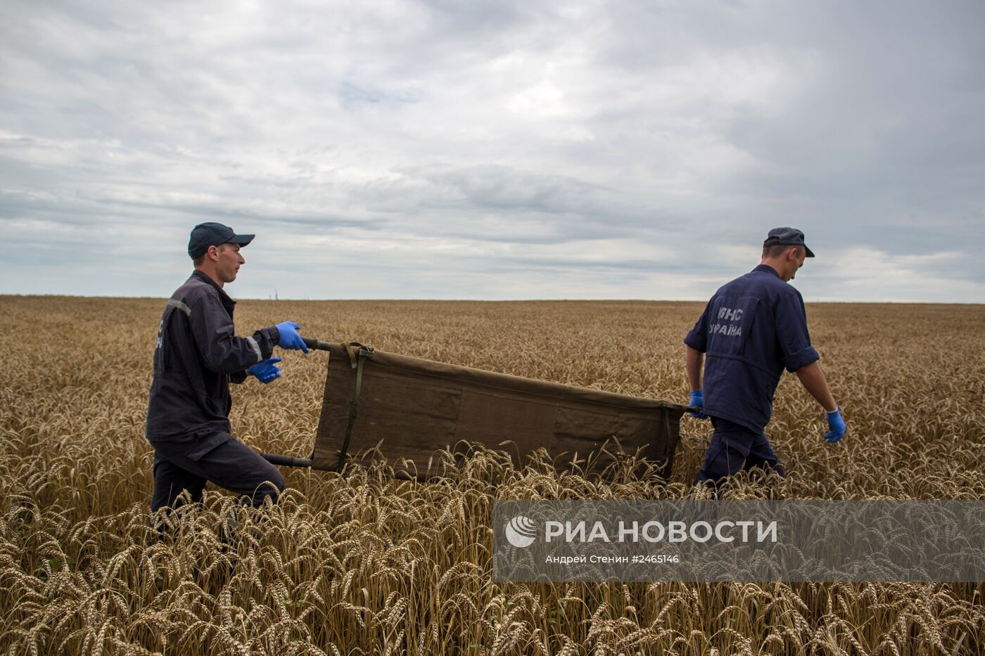 Сбор тел погибших на месте крушения малайзийского лайнера Boeing 777 в районе Шахтерска