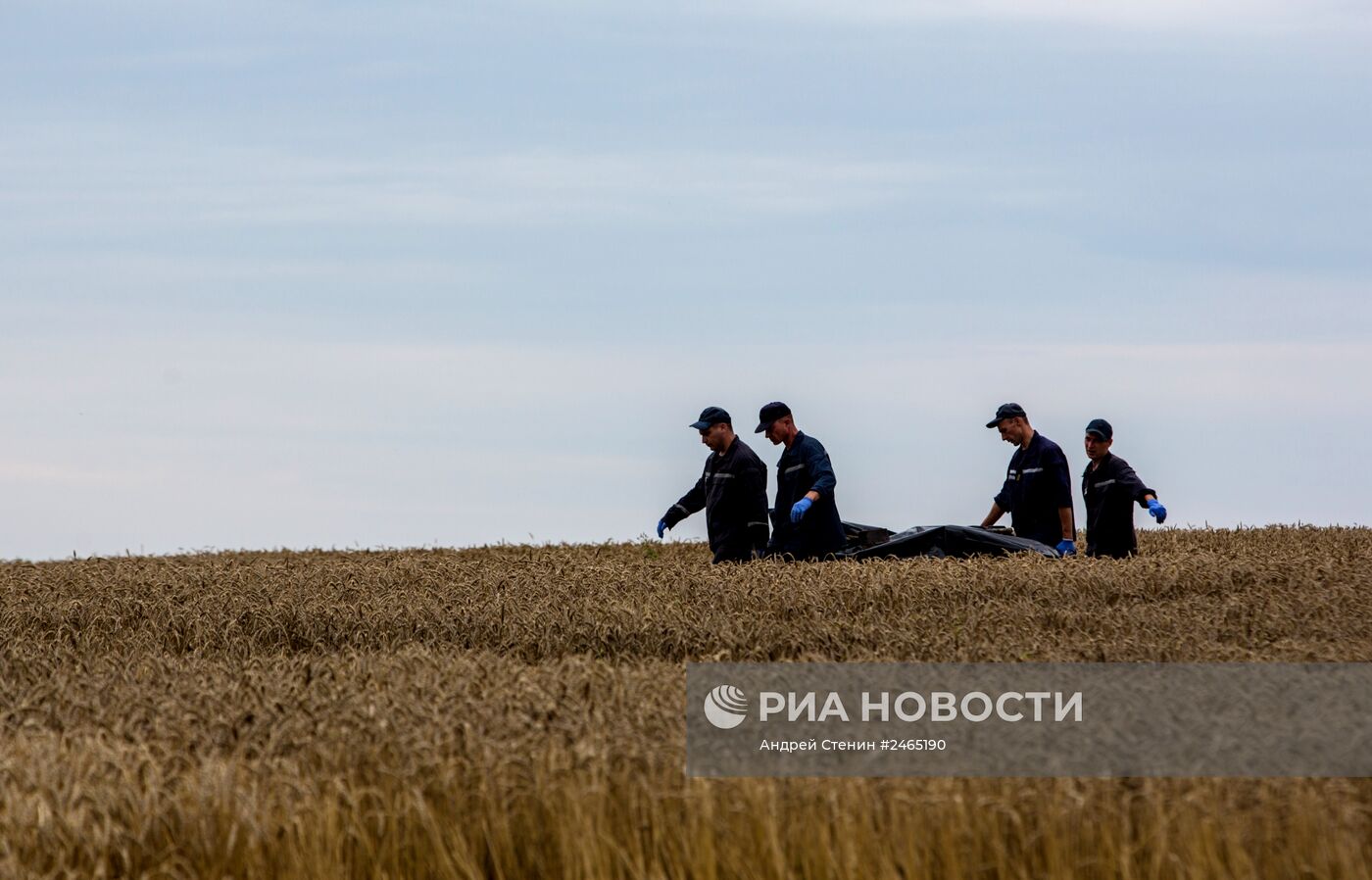 Сбор тел погибших на месте крушения малайзийского лайнера Boeing 777 в районе Шахтерска