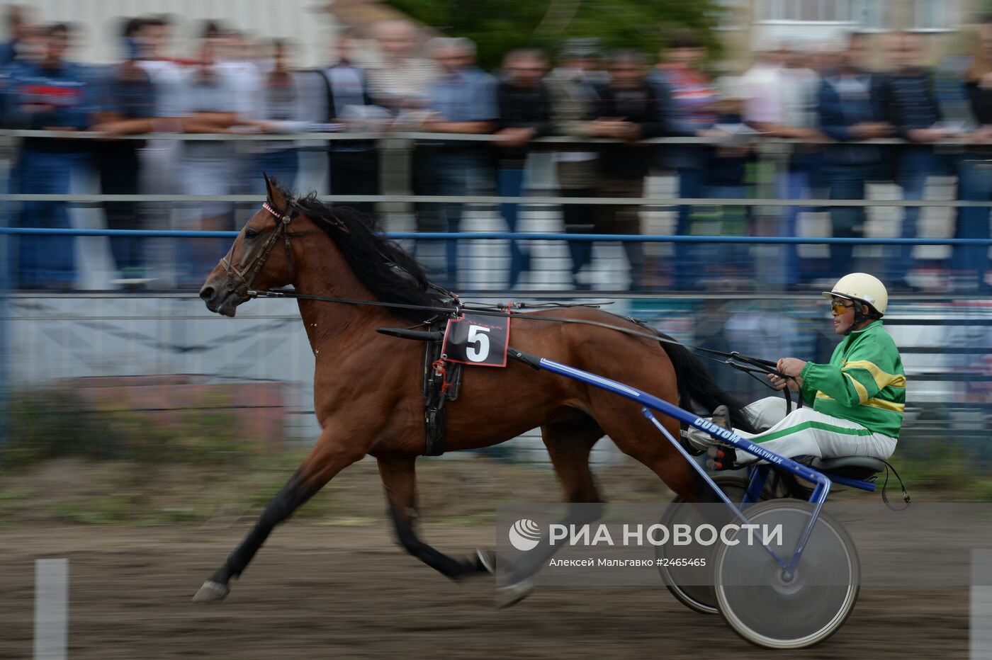Всероссийский фестиваль орловского рысака 2014
