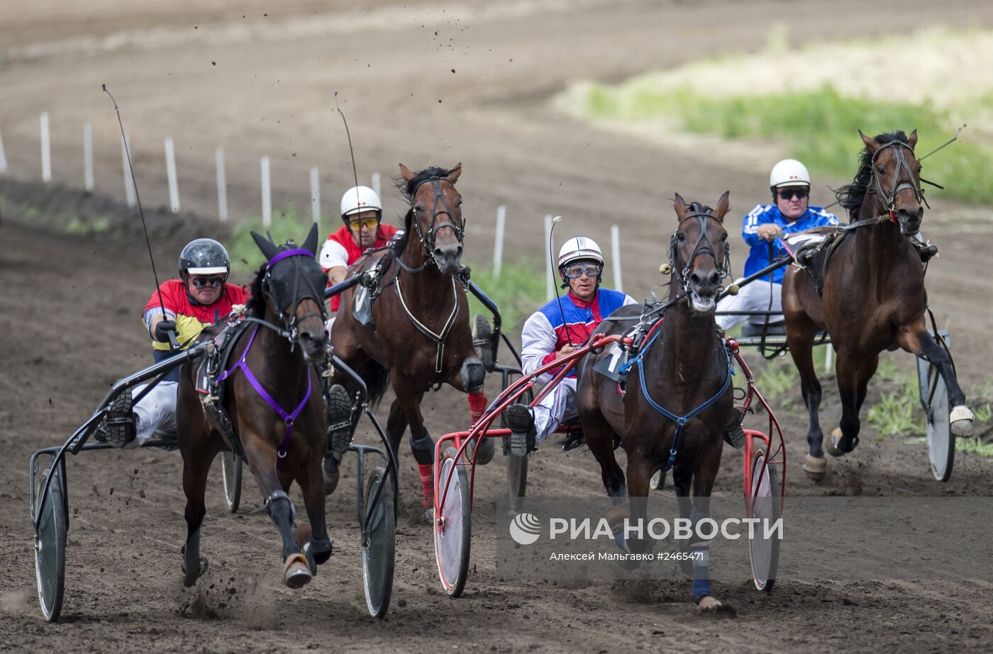 Всероссийский фестиваль орловского рысака 2014