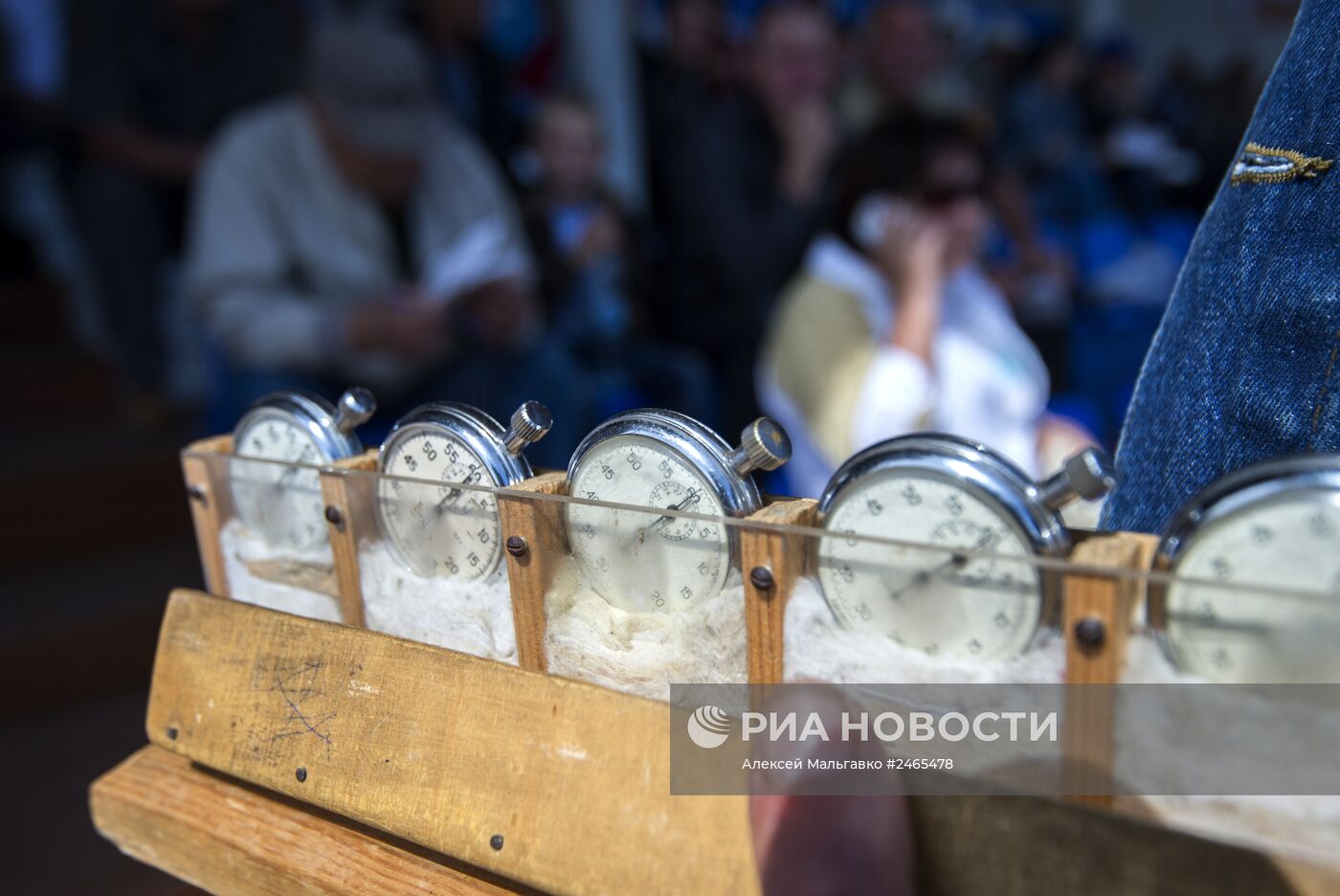 Всероссийский фестиваль орловского рысака 2014