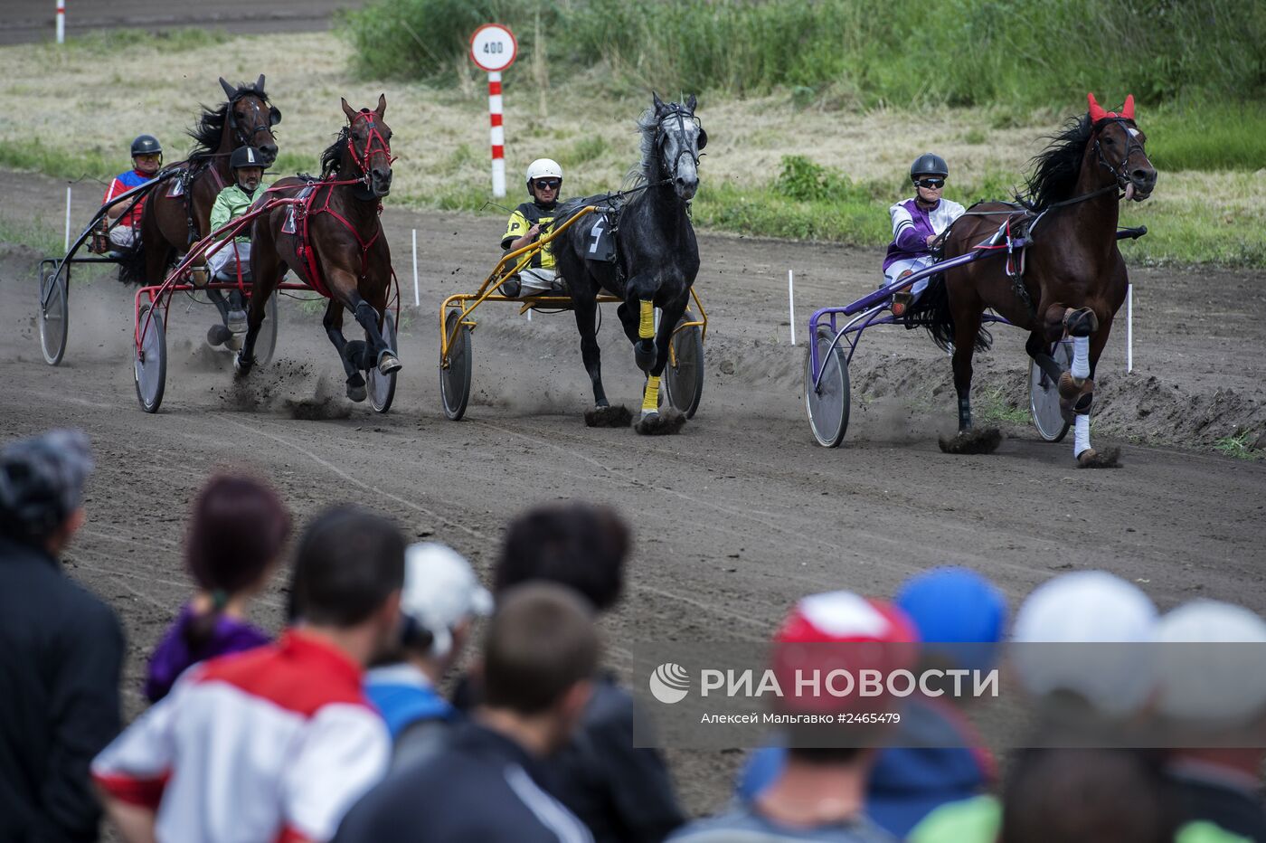 Всероссийский фестиваль орловского рысака 2014