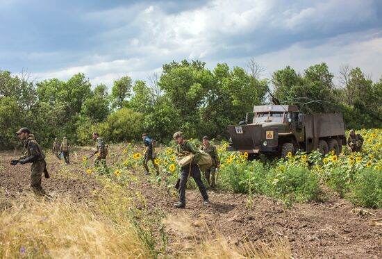 Ситуация в Донецкой области