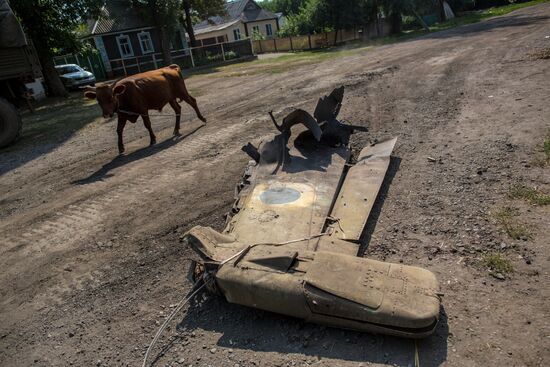 В Донецкой области сбит военный самолет
