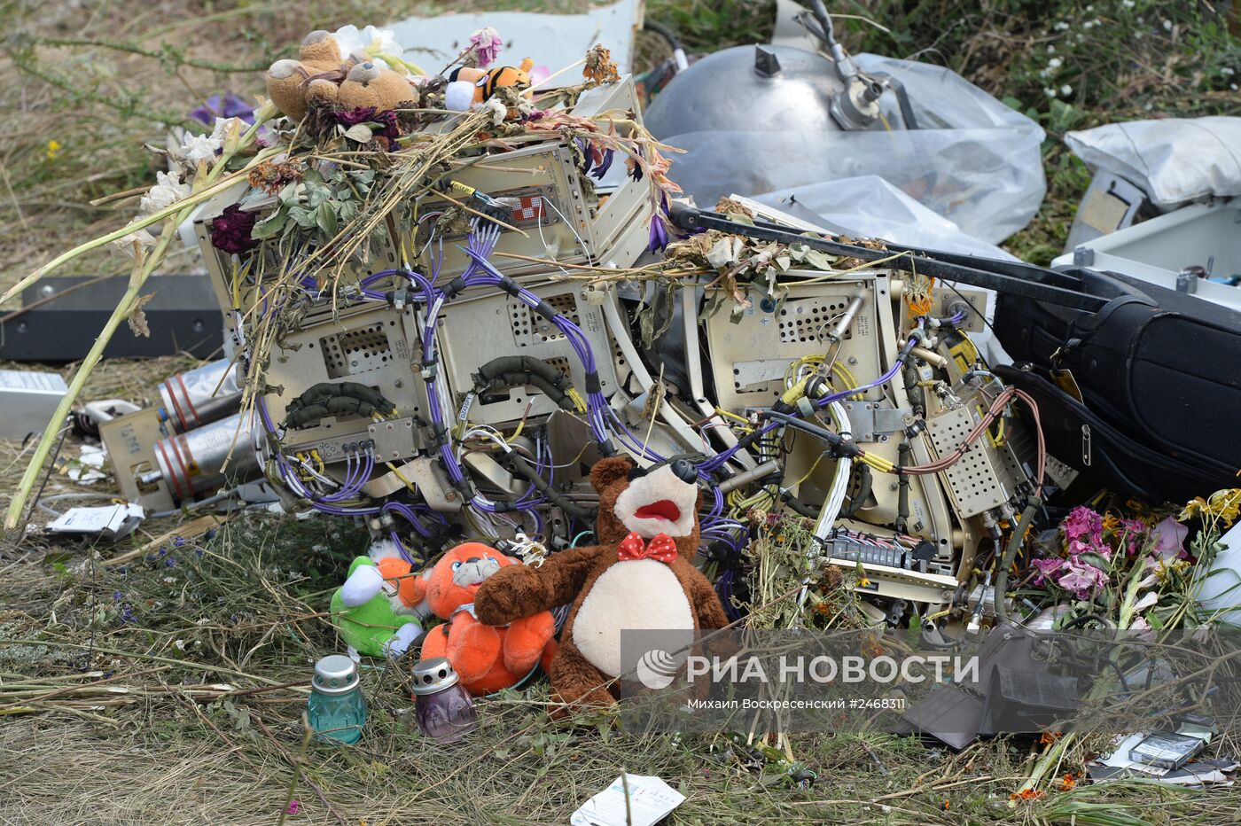 Сотрудники миссии ОБСЕ и эксперты работают на месте крушения малайзийского Boeing 777