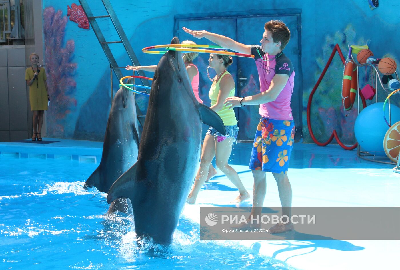 Дельфинарий "Акварель" в Алуште