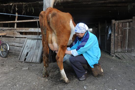 Жизнь марийцев в селе Малая Тавра
