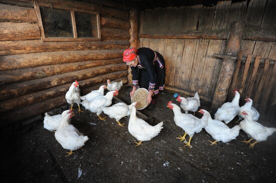 Жизнь марийцев в селе Малая Тавра