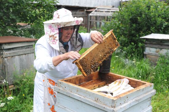 Жизнь марийцев в селе Малая Тавра