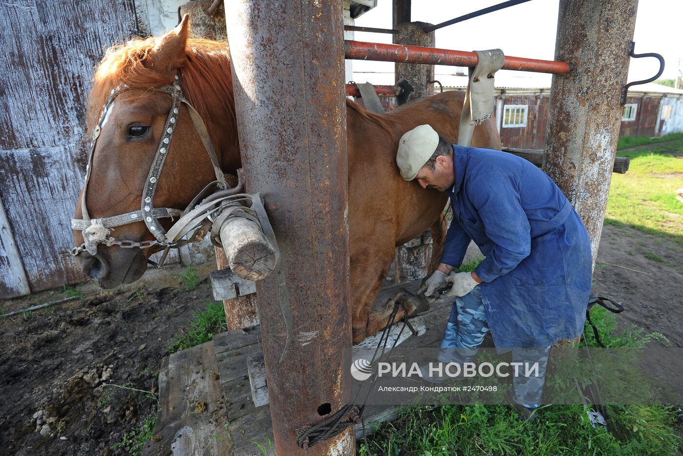 Жизнь марийцев в селе Малая Тавра