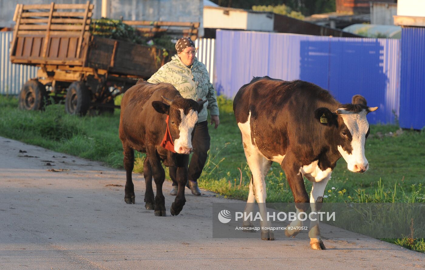 Жизнь марийцев в селе Малая Тавра