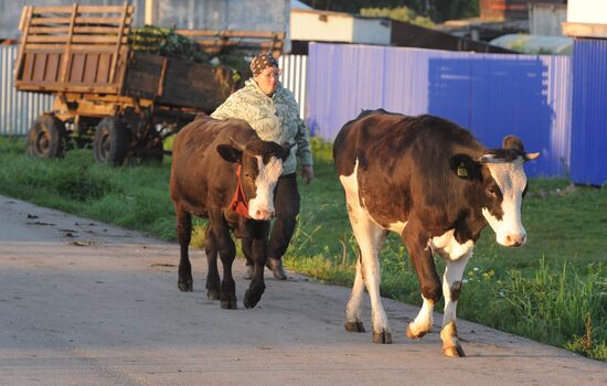 Жизнь марийцев в селе Малая Тавра