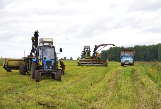 Жизнь марийцев в селе Малая Тавра