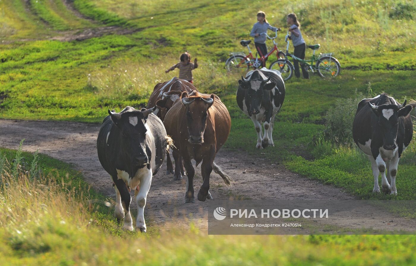 Жизнь марийцев в селе Малая Тавра