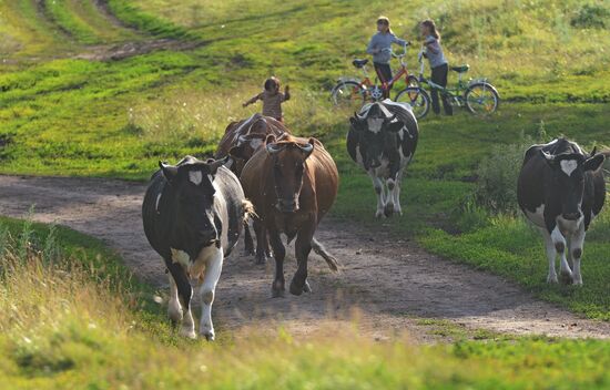 Жизнь марийцев в селе Малая Тавра