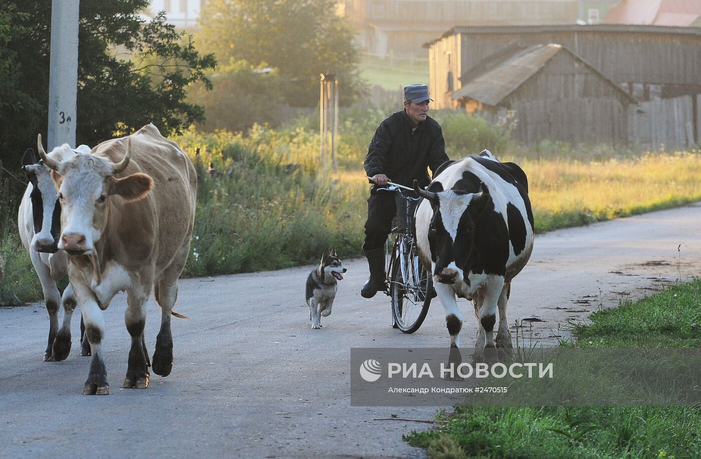 Жизнь марийцев в селе Малая Тавра