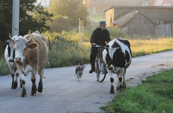 Жизнь марийцев в селе Малая Тавра