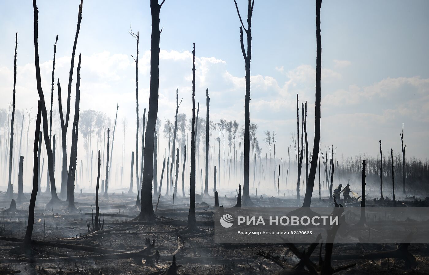 Лесные пожары в Тверской области