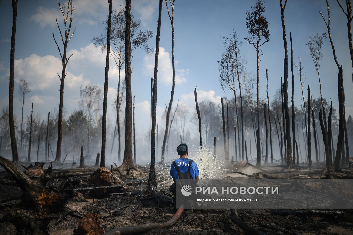 Лесные пожары в Тверской области