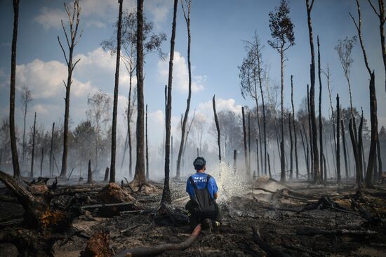 Лесные пожары в Тверской области