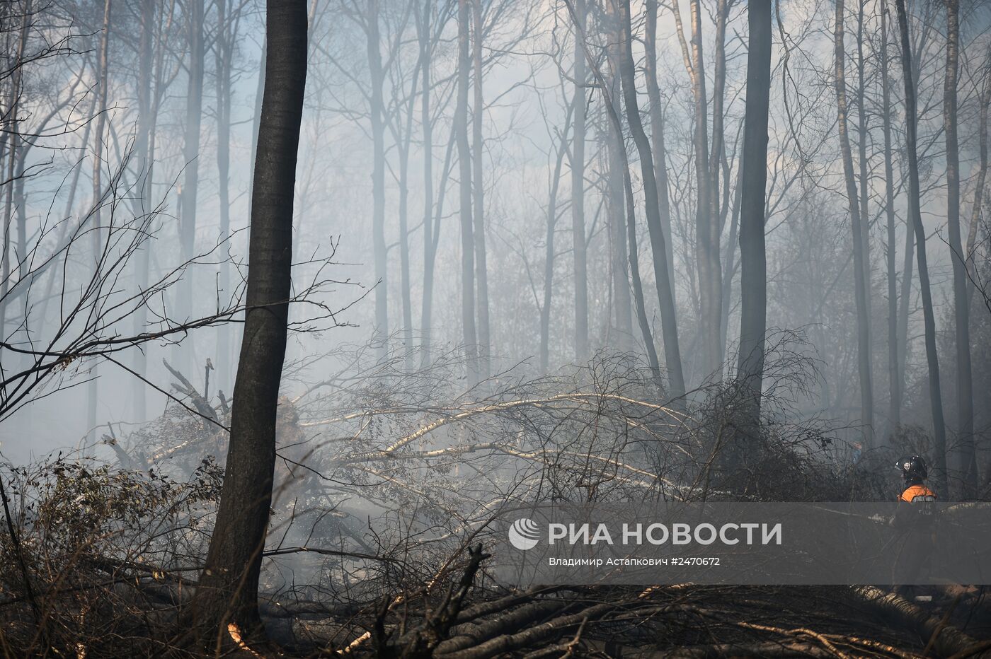 Лесные пожары в Тверской области