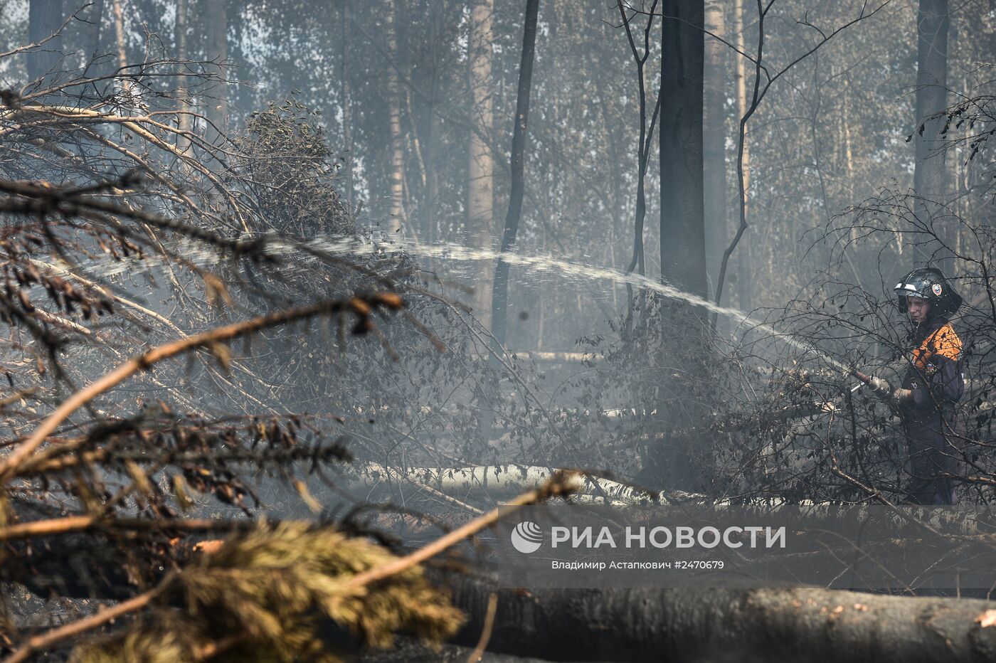 Лесные пожары в Тверской области